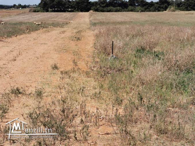 Réservez votre lots