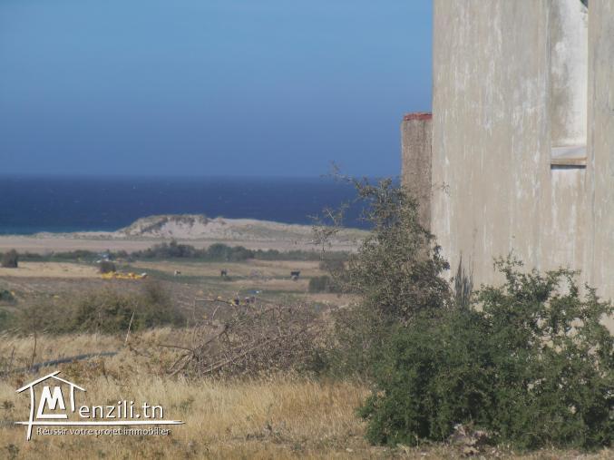 maison style arab vu panoramique a la plage