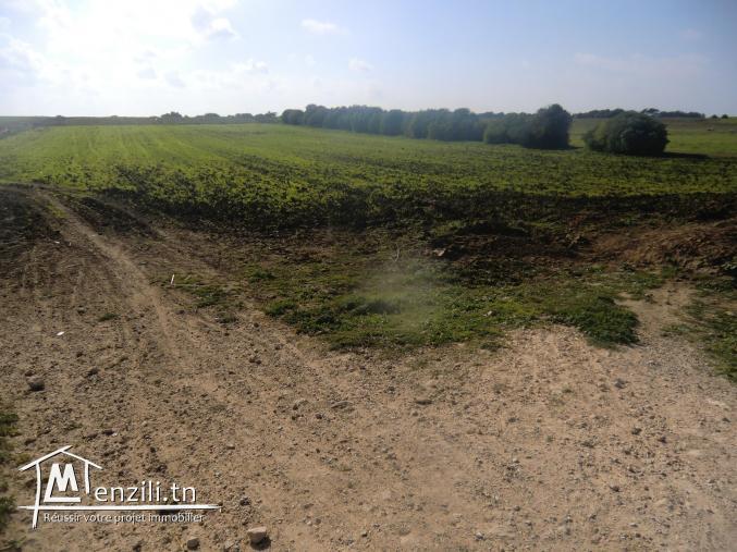 3000m2 seulement a 65000dt