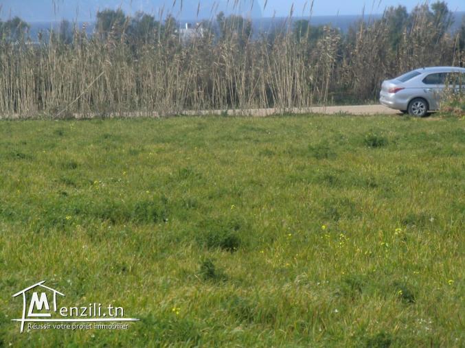 3000m2 seulement a 65000dt