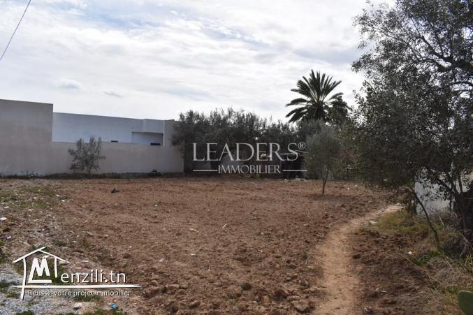 terrain à vendre à chott meriem  27 246 306