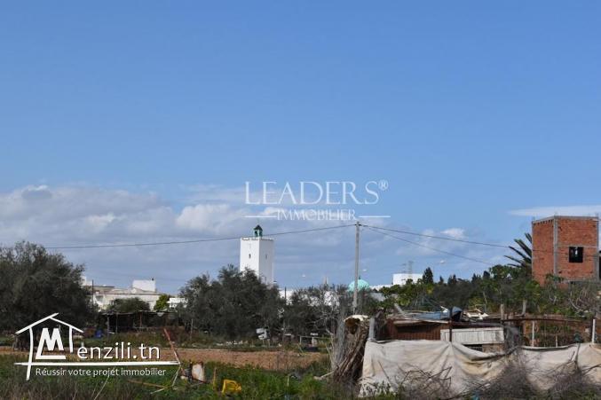 terrain à vendre à chott meriem  27 246 306