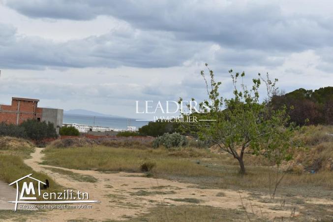 terrain à vendre à chott meriem