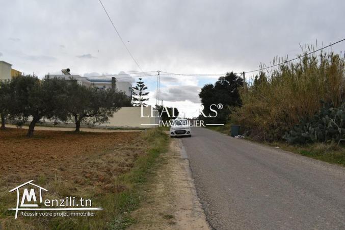 terrain à vendre à chott meriem de 1500 m²