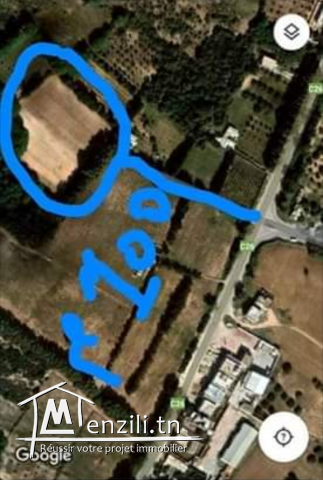 terrain de 8300 m2 a vendre a El Hawaria