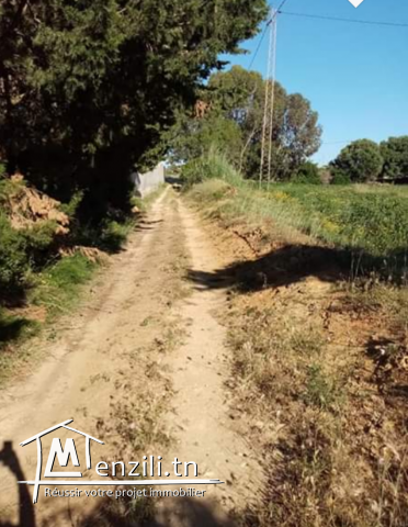 terrain de 8300 m2 a vendre a El Hawaria
