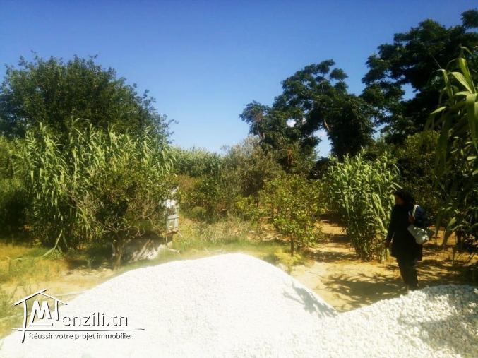 un superbe terrain de 753 m2