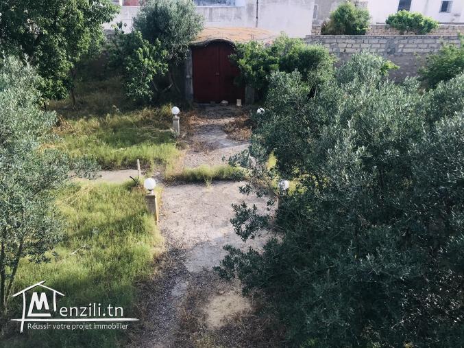 Terrain titré à vendre à korba