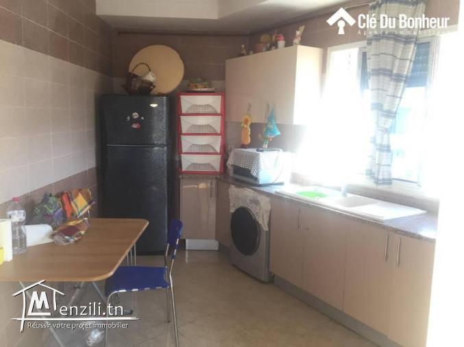 superbe appartement plein ariana