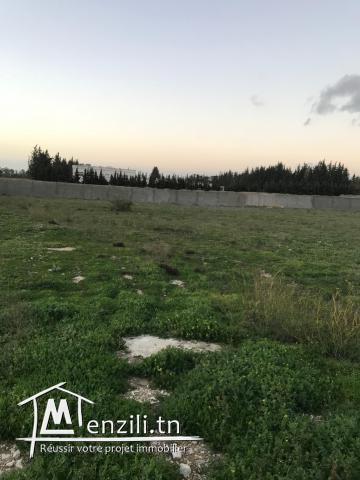 Terrain clôturé Mornag