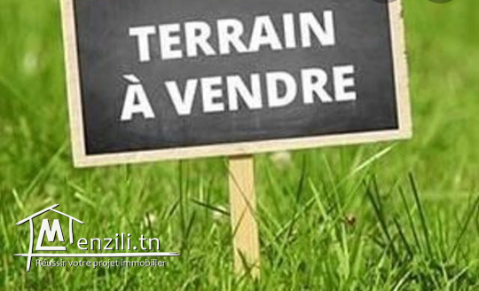 vente de terrain