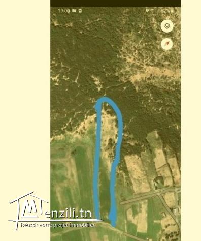 ارض للبيع ببنزرت