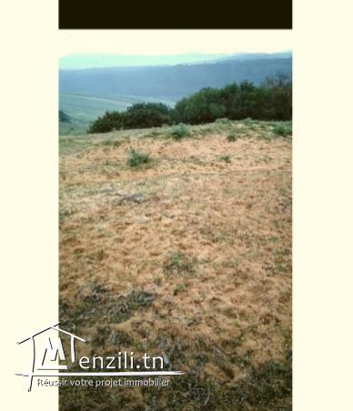 ارض للبيع ببنزرت