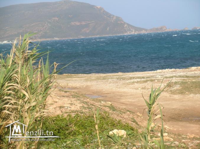 1 ere position dar allouch