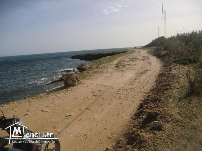 1 ere position dar allouch