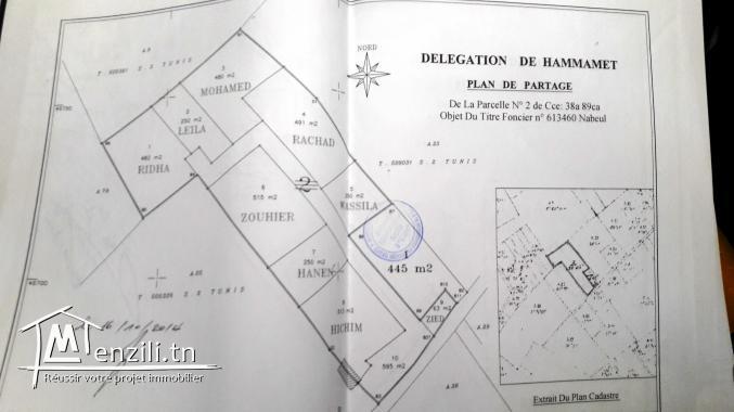 A vendre un terrain de 515m2:RTE Hammamet-BIR BOUREGBA(260 dt/m) soit 134 000 DT