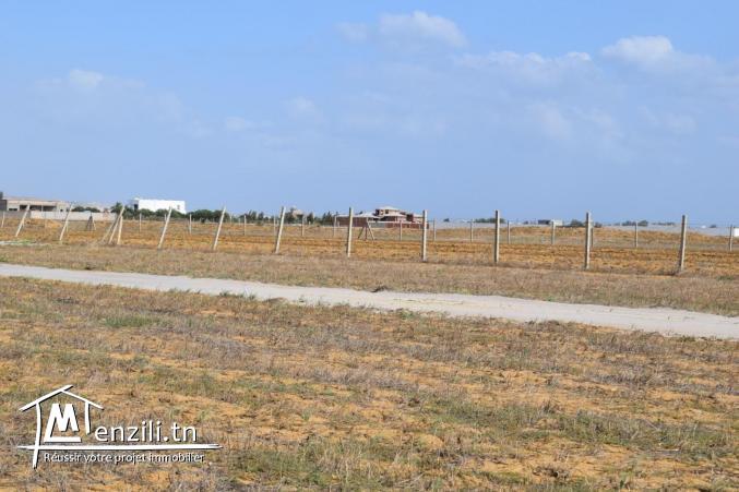 terrain 288m2 route 71km yasmine hammamet