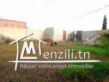 terrain 288m2 route 71km yasmine hammamet