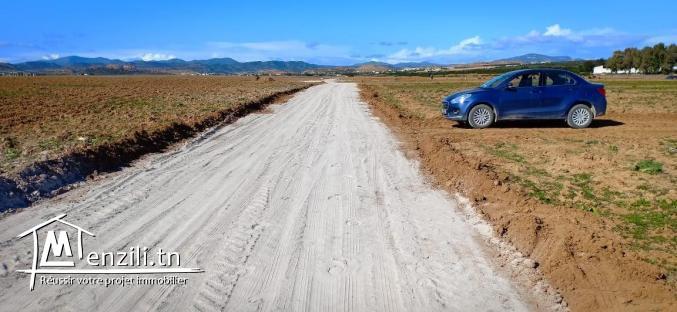 terrain 288m2 route 71km yasmine hammamet