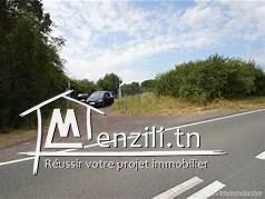 terrain agricole olives 95hectares zaghoin