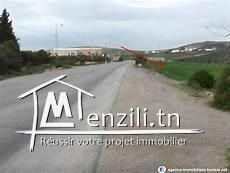 terrain agricole olives 95hectares zaghoin