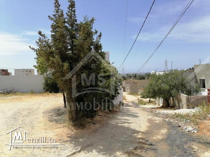 un terrain sur deux façades a #kharouba