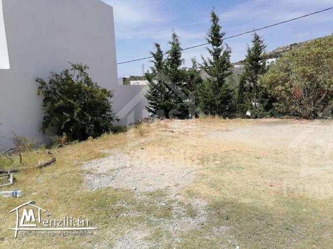 un terrain sur deux façades a #kharouba