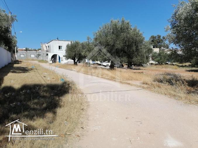 un terrain sur deux façades à Birbouragba