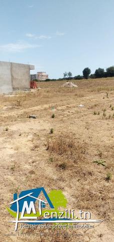 أرض فيها 200 م² ب 20 مليون