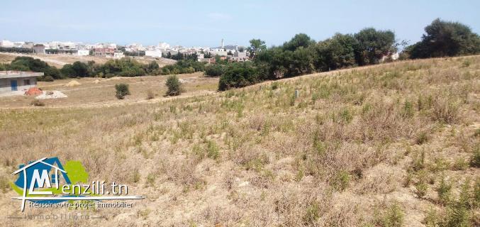 أرض فيها 200 م² ب 20 مليون