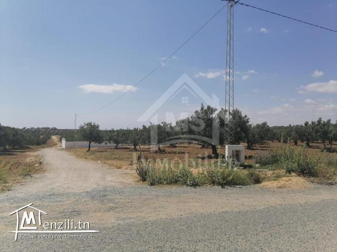 terrain sur deux façades a 7KM de YASSMIN Hammamet