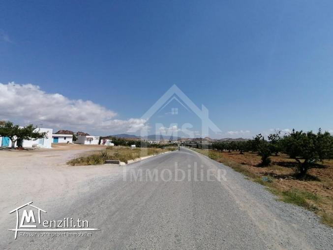 terrain sur deux façades a 7KM de YASSMIN Hammamet