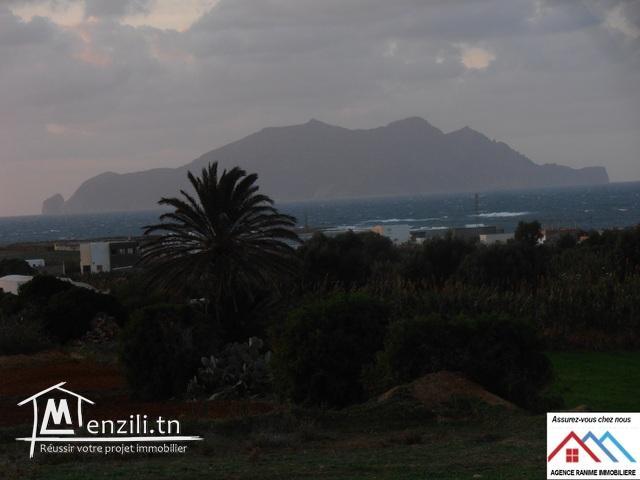 Terrain de 540m2 a la mer d'el haouaria cap bon