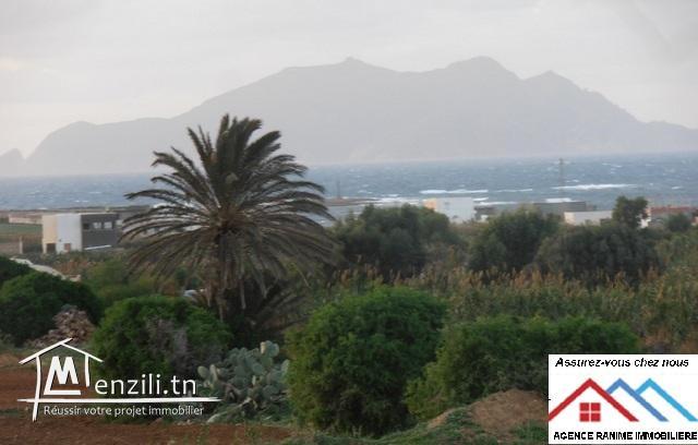 Terrain de 540m2 a la mer d'el haouaria cap bon