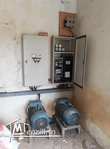 هنشير صيّاح