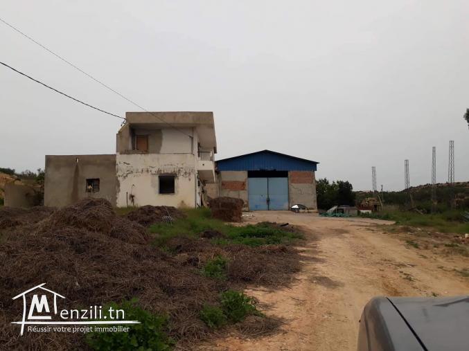 هنشير صيّاح