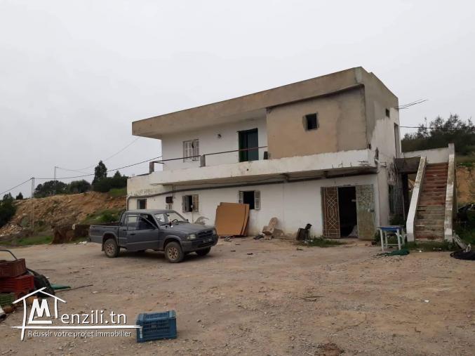 هنشير صيّاح