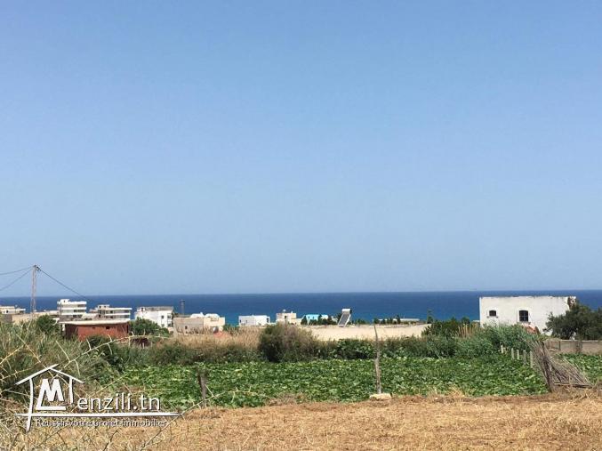 Parcel de terrain à Sounine 800 m2