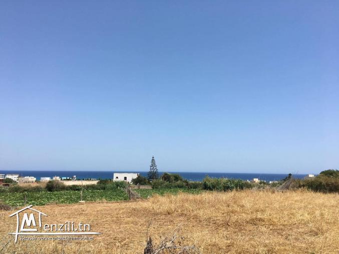 Parcel de terrain à Sounine 800 m2