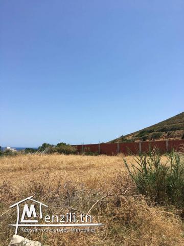 Parcel de terrain à Sounine 800 m2