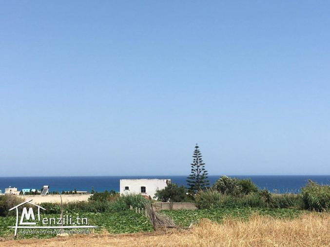 Parcel de terrain à Sounine 800 m2