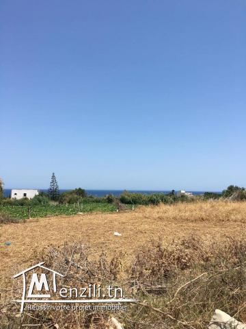 Parcel de terrain à Sounine 800 m2