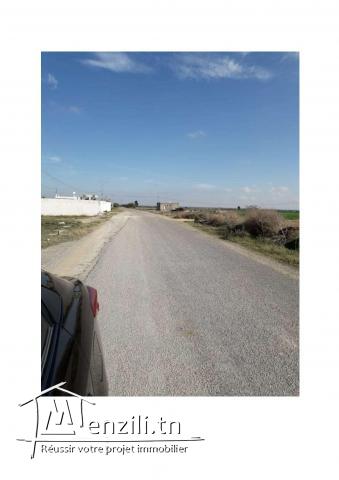 Grand Terrain KAIROUAN Nord - Guatrania .