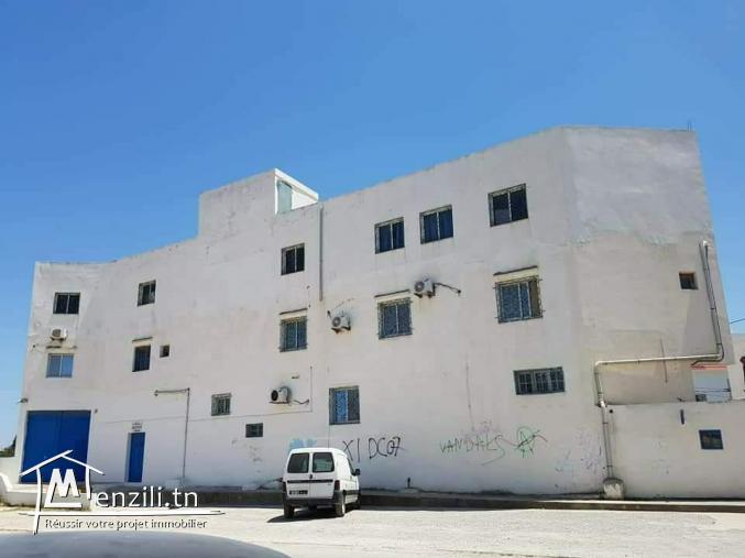 Surface non aménagé Grombalia Nabeul (Prix négociable)