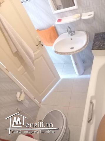 Un rez- de- chaussée  S+1 meublé, climatisé avec une entrée indépendante