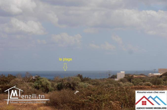 Maison ds 500m2 a la plage d'el haouaria