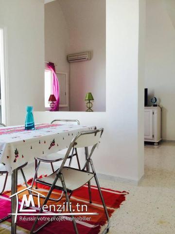 Appartement S+1 lumineux, agréable et meublé.