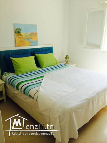 Appartement S+1 lumineux, agréable et meublé.