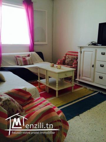 Appartement S+1 lumineux, agréable et meublé.