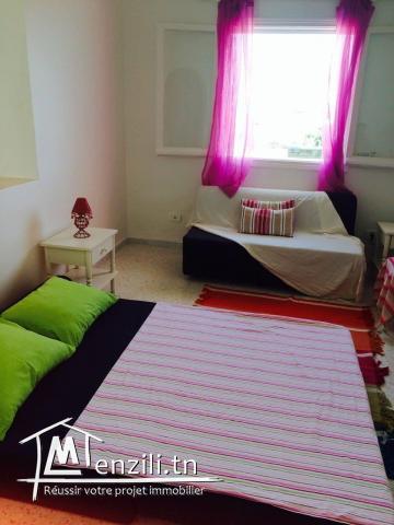 Appartement S+1 lumineux, agréable et meublé.